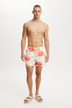 FRUIT STICKERS